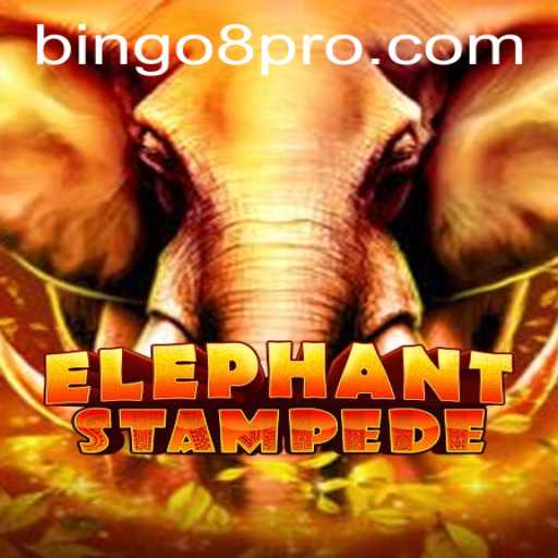 ElephantStampede: Unleashing the Wild World of Bingo8