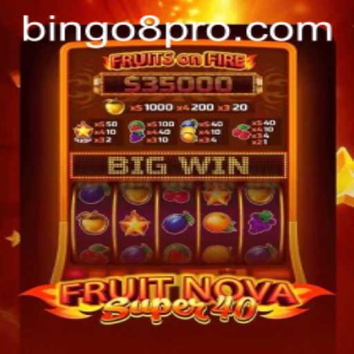 FruitNovaSuper40: A Deep Dive into the Game Mechanics and Buzz around Bingo8