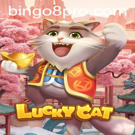 The Mesmerizing World of LuckyCat and Bingo8