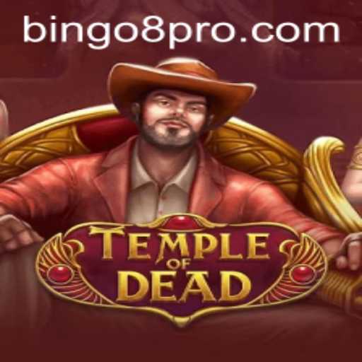 TempleofDead and Bingo8: The Ultimate Adventure Awaits